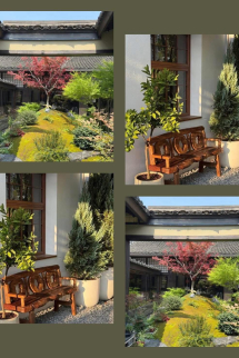 Hối Hận Muộn Màng