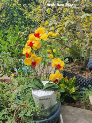 Kim Chủ Truy Đuổi Vợ